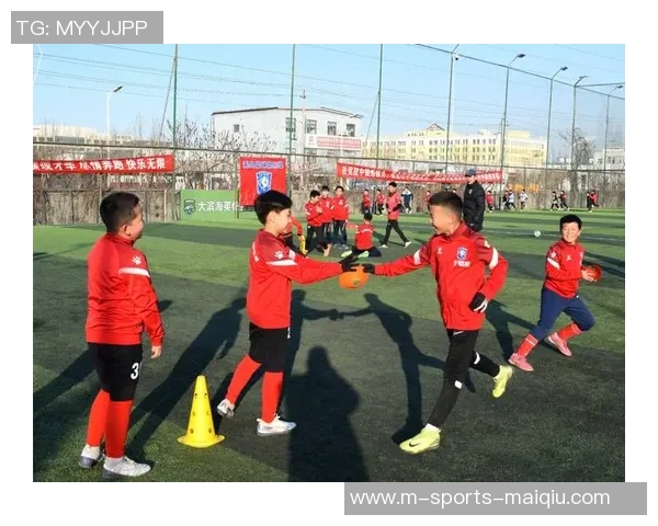 少年足球培训班助力青少年成长与梦想启航的最佳选择